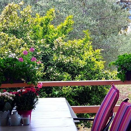 Apartman Rabatin Sveti Filip i Jakov Zewnętrze zdjęcie